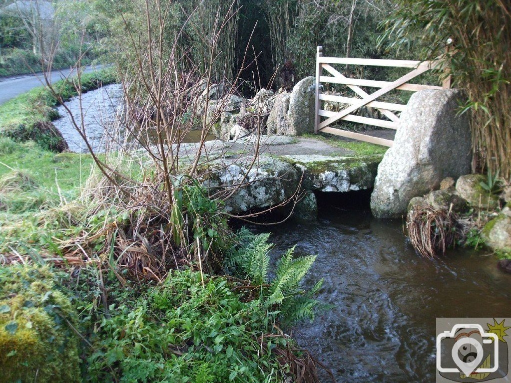 Sunday outing, 17th Jan, 2010: The River, Penberth Valley