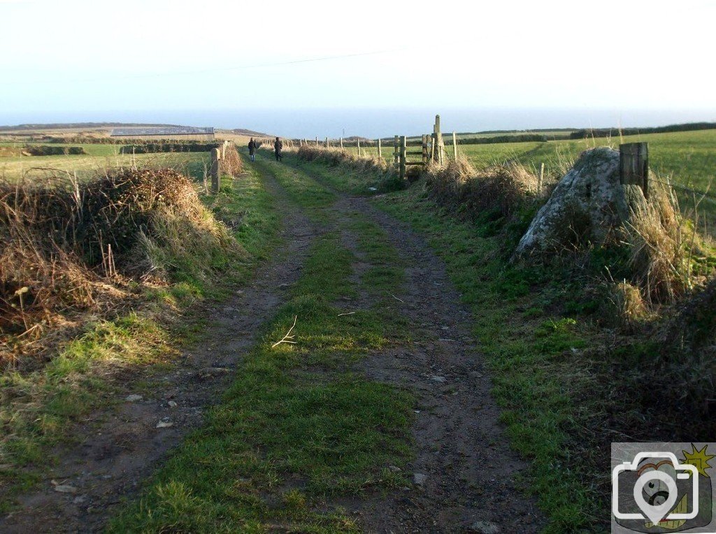 Sunday outing, 17th Jan, 2010: Treen: Path to Treryn Dinas (Logan Rock)