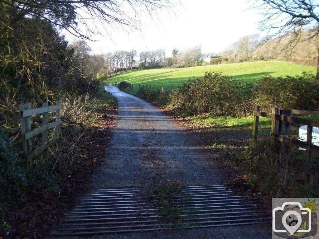 Sunday outing, 17th Jan, 2010: View to Rosehill