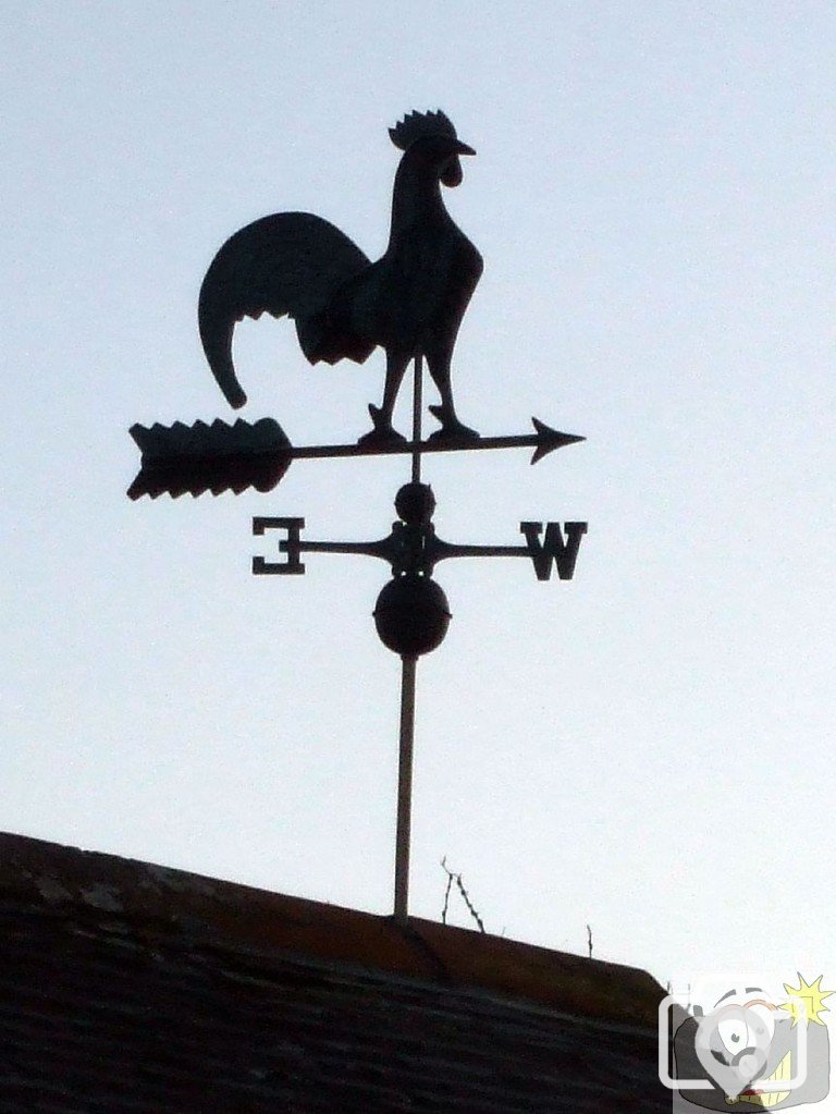Sunday outing, 17th Jan, 2010: Weather vane at Treen