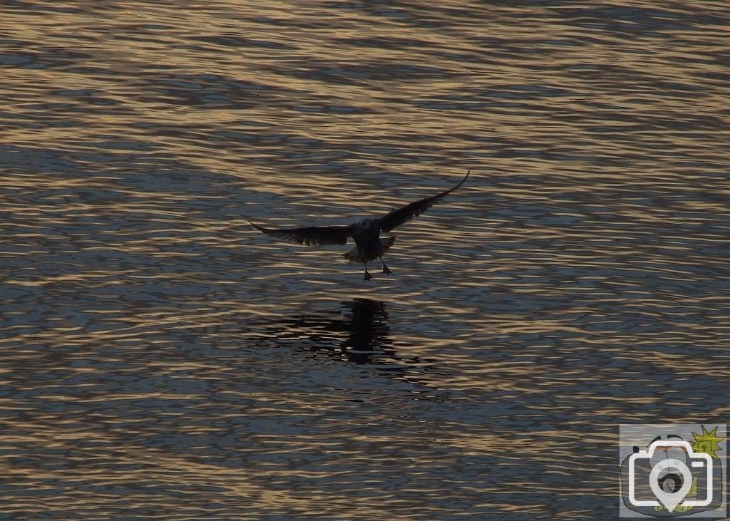 Sunset Landing