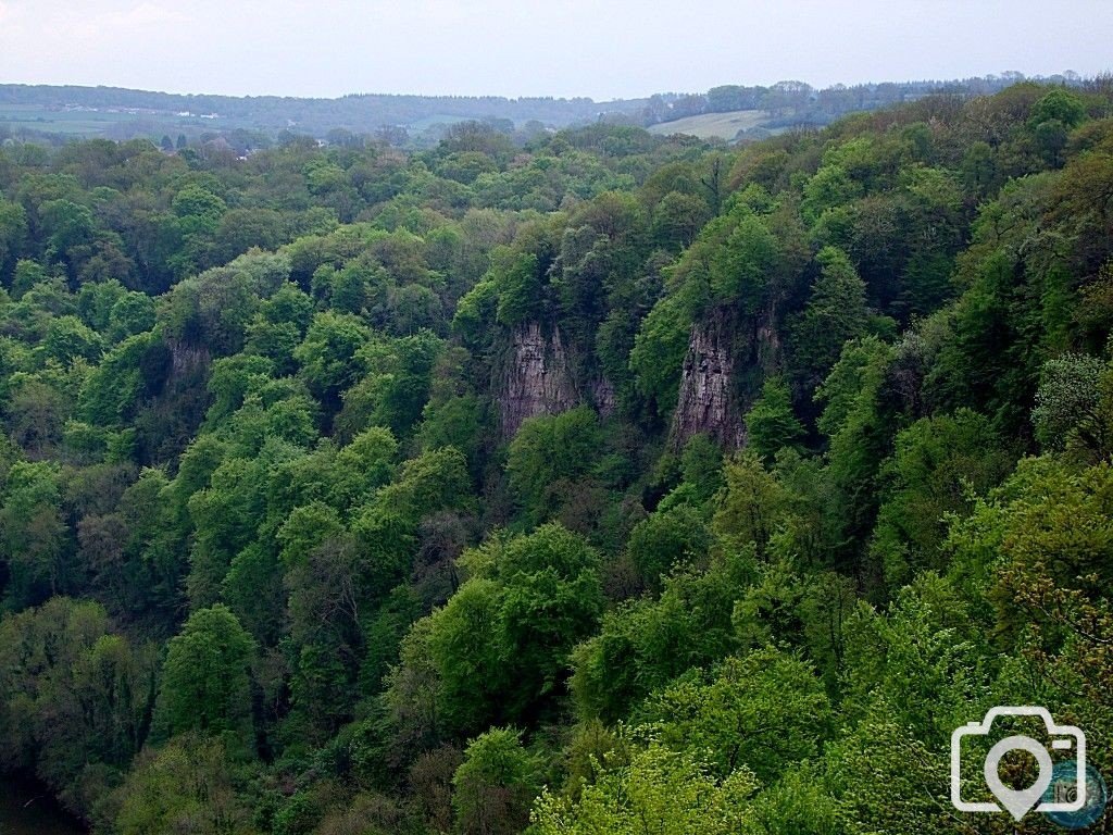 Symonds Yat - 2