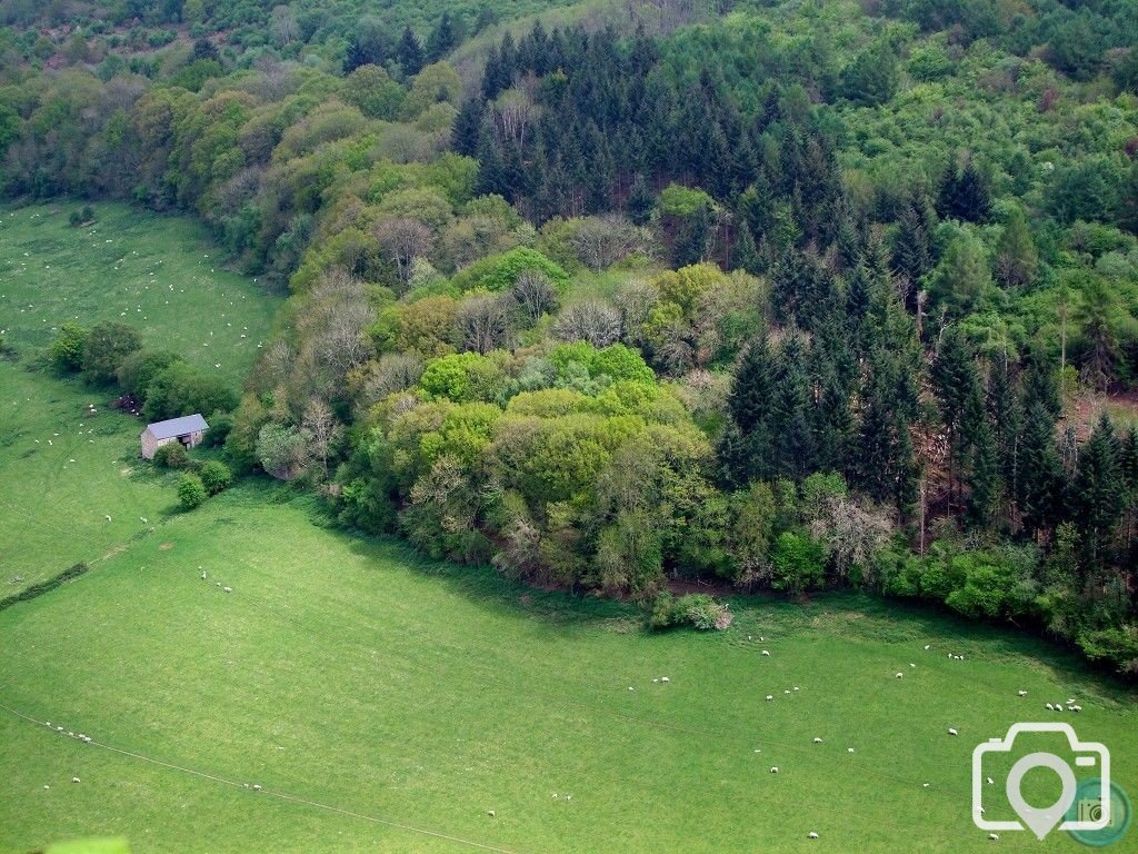 Symonds Yat - 4