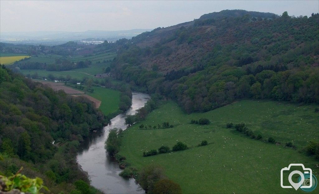 Symonds Yat - 5