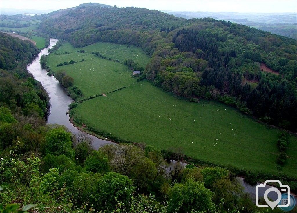 Symonds Yat - 6