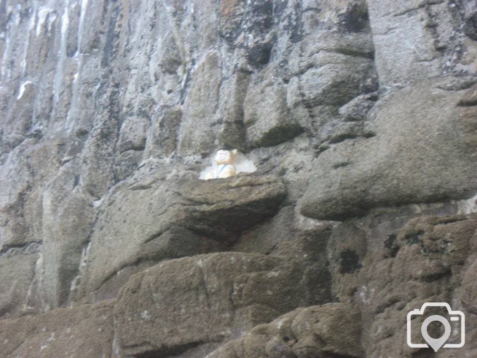 Teddy at the St Michaels Mount