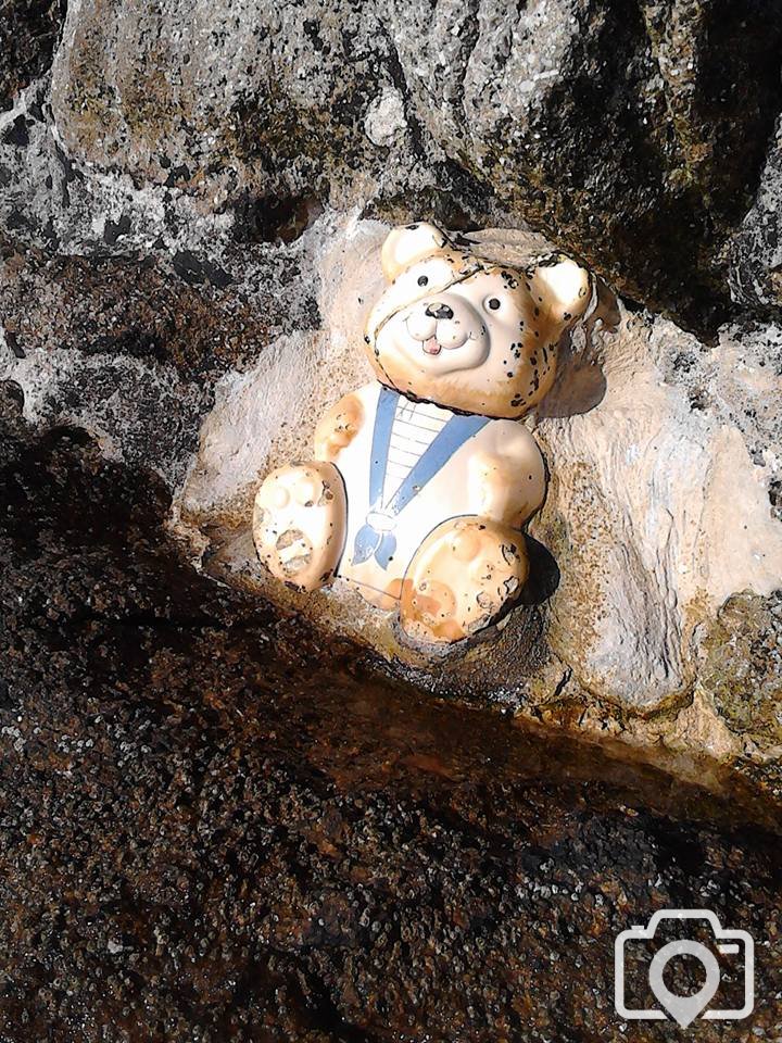 Teddy Cookie Jar On the Penzance side of the harbour wall, St Michaels Mount.