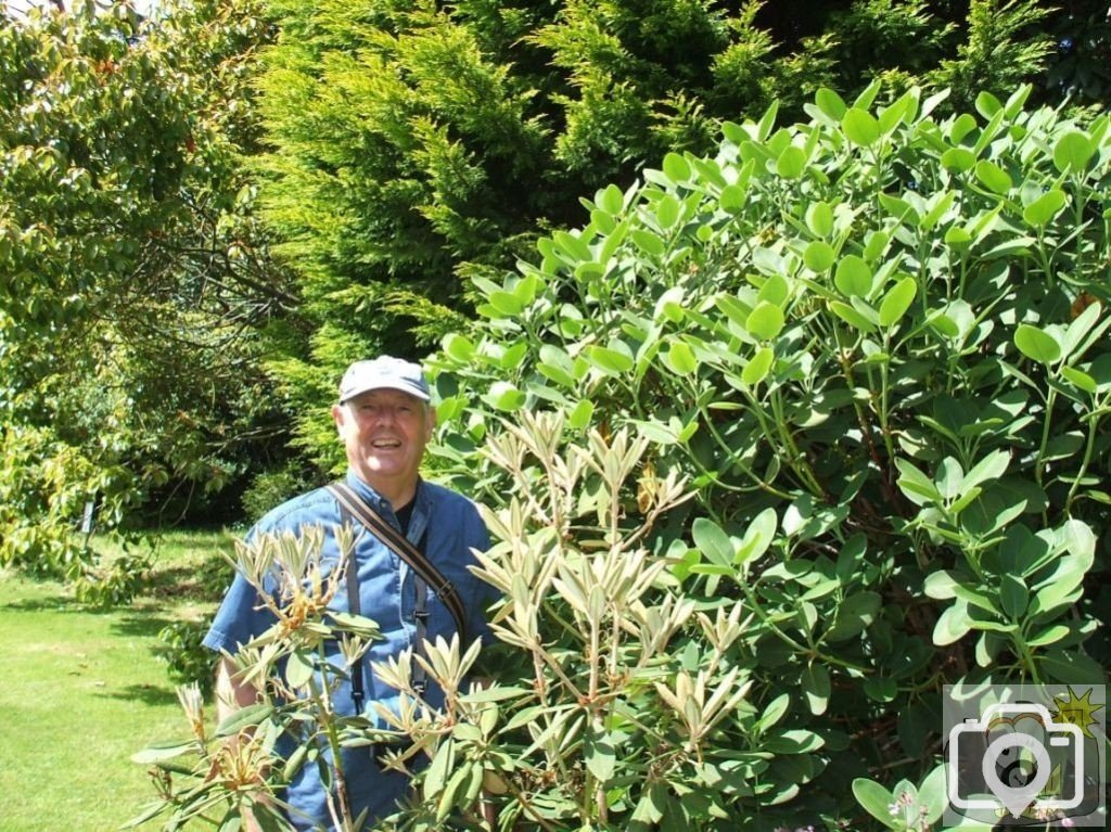 The Green Man - Trewidden Gardens - June '08