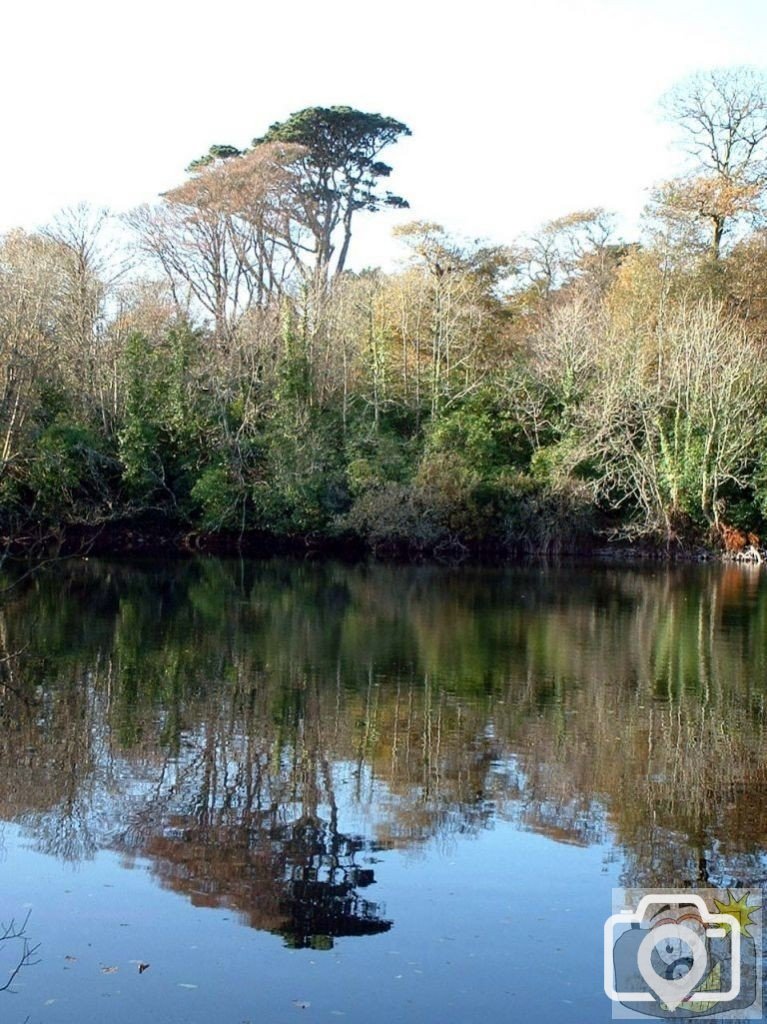 The hidden section of Boscathnoe Reservoir towards Trengwainton