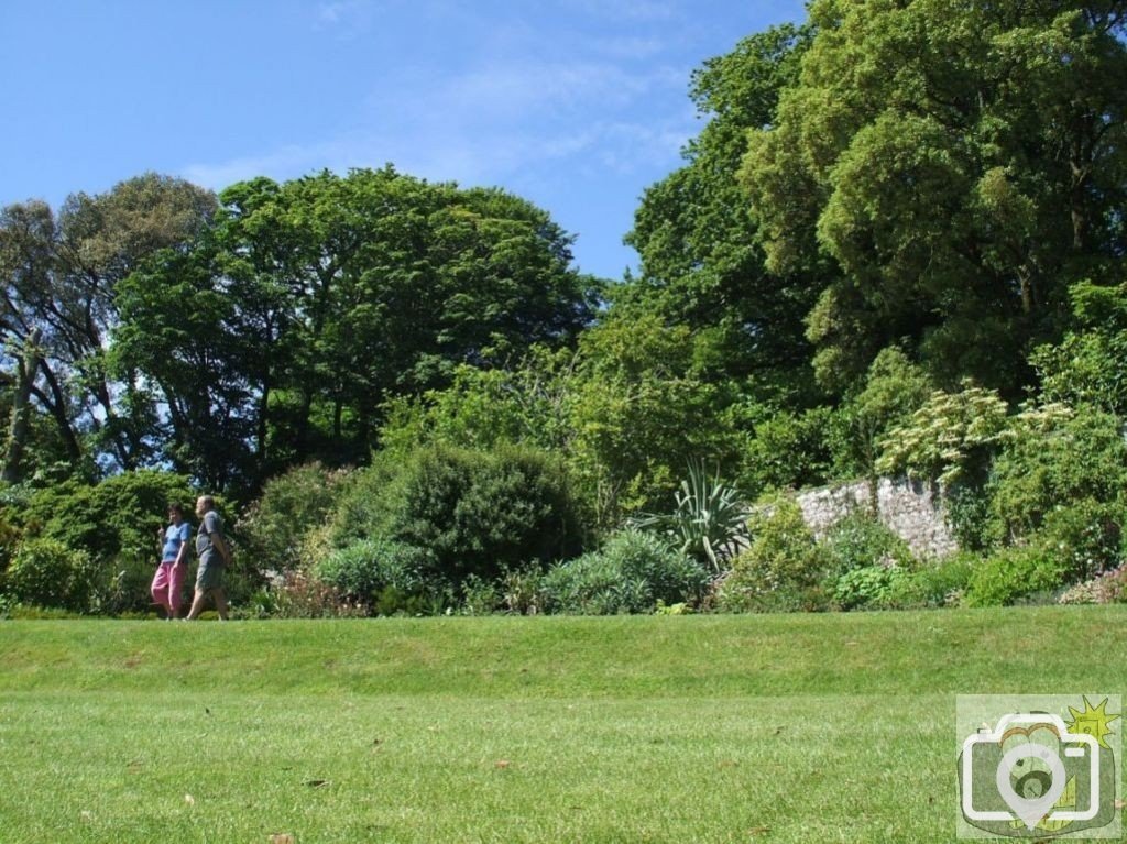 The Higher Garden - Trewidden Gardens - June '08