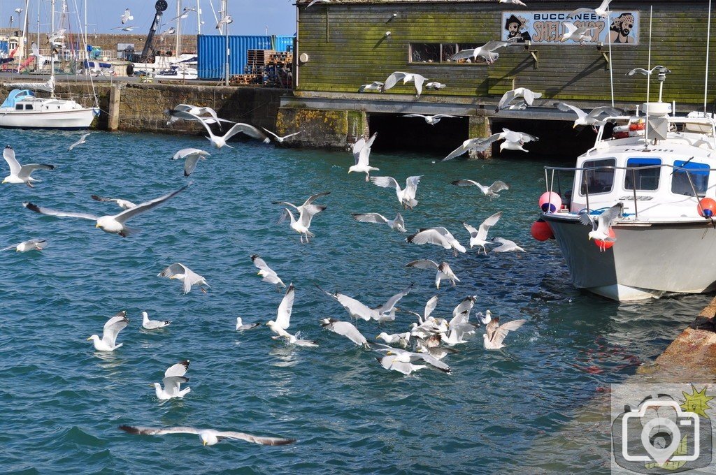 The  inner  harbour  Penzance.