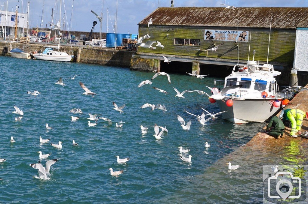 The  inner  harbour  Penzance.