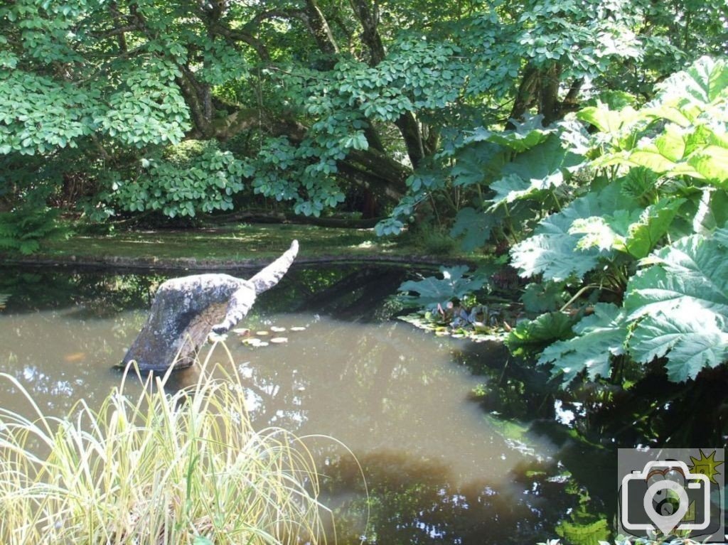 The Lake and Gunnera Mannicata - Trewidden Gardens - June '08