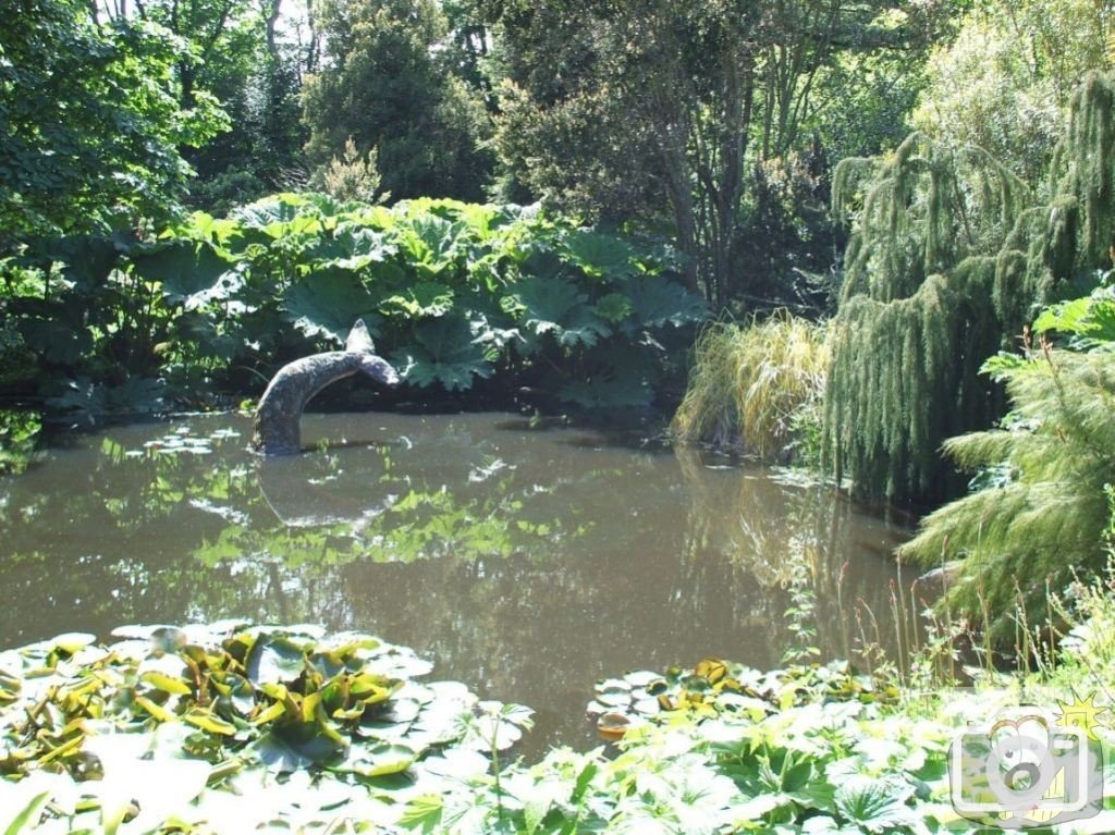 The Lake - Trewidden Gardens - June '08