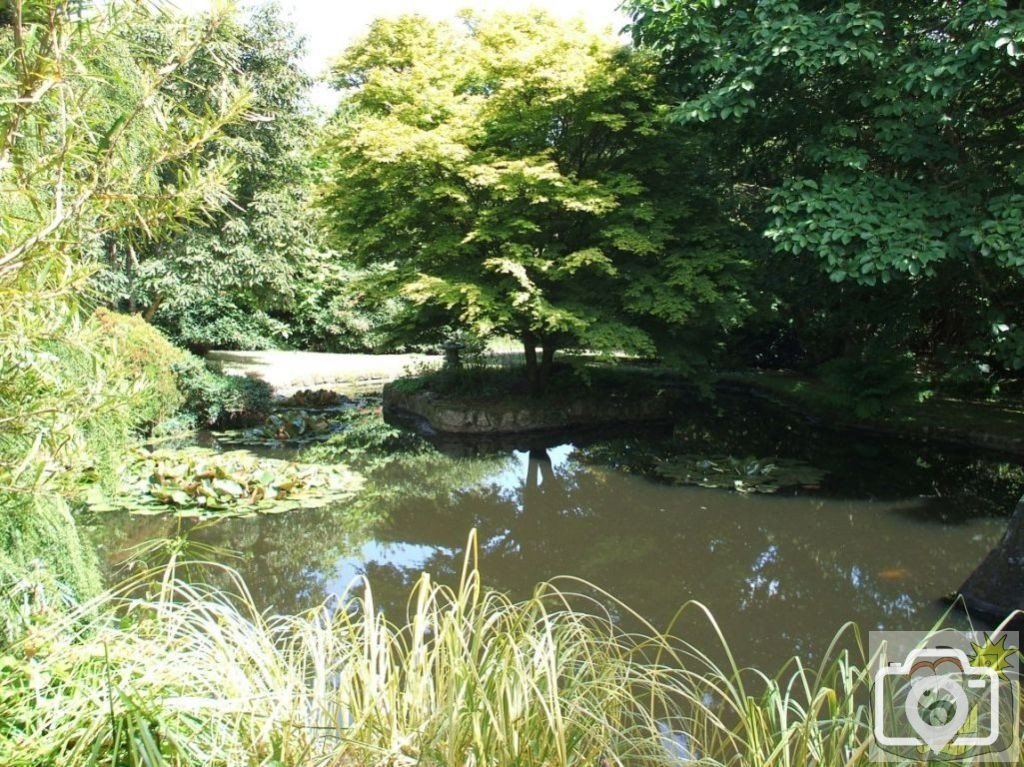 The Lake - Trewidden Gardens - June '08