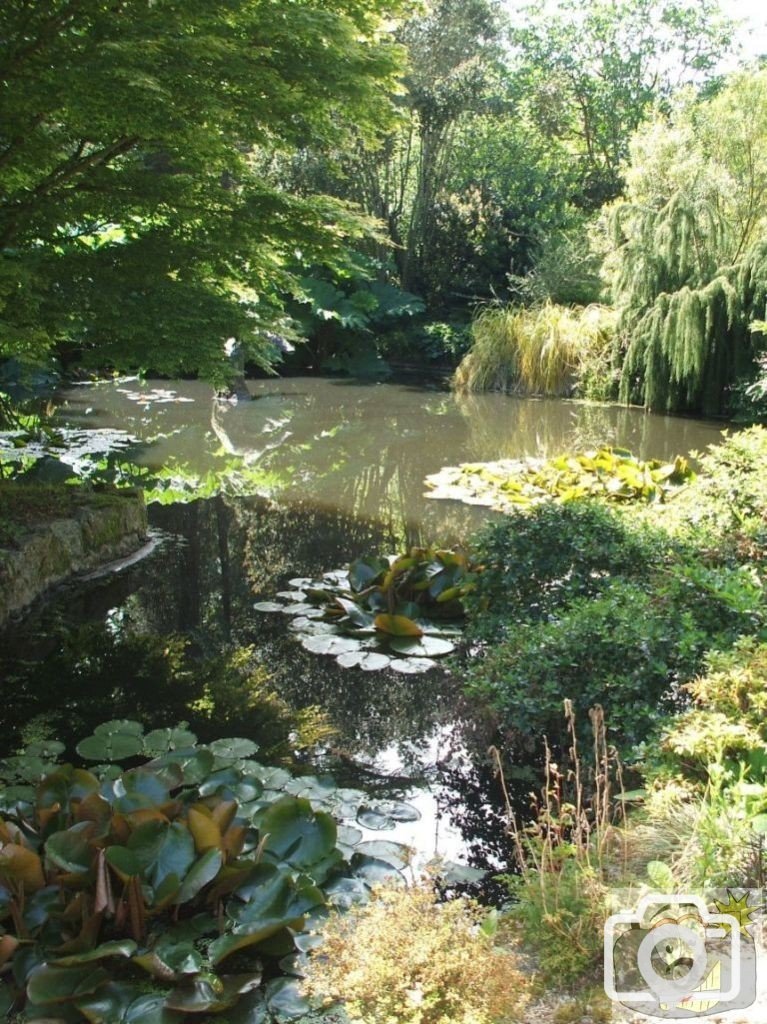 The Lake - Trewidden Gardens - June '08