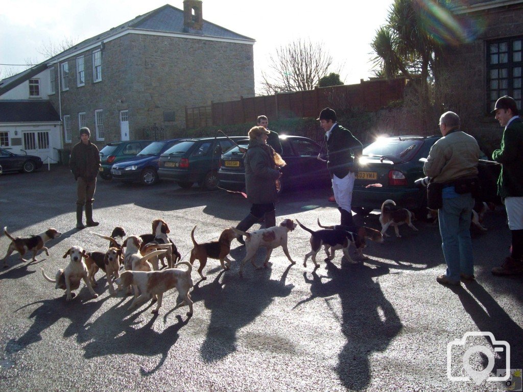 The Lambo Beagles