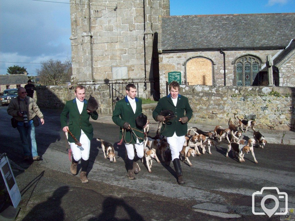 The Lambo Beagles