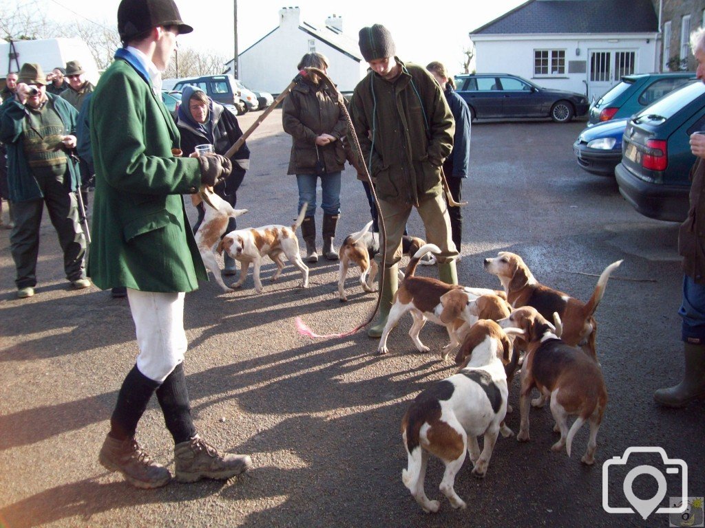 The Lambo Beagles