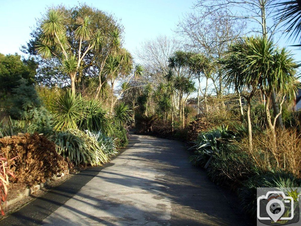 The lower entrance to Morrab Gdns - 22/01/10