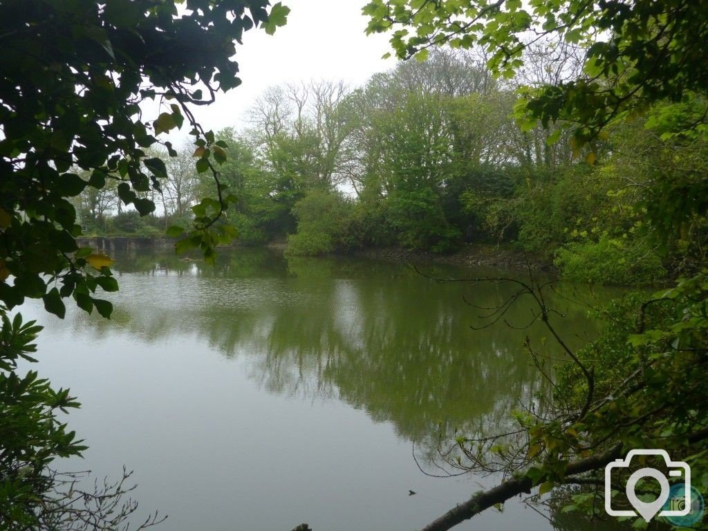 The Old Reservoir