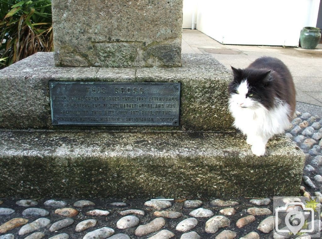 The Penzance Market Cross, Penlee Park, Feb., 2007