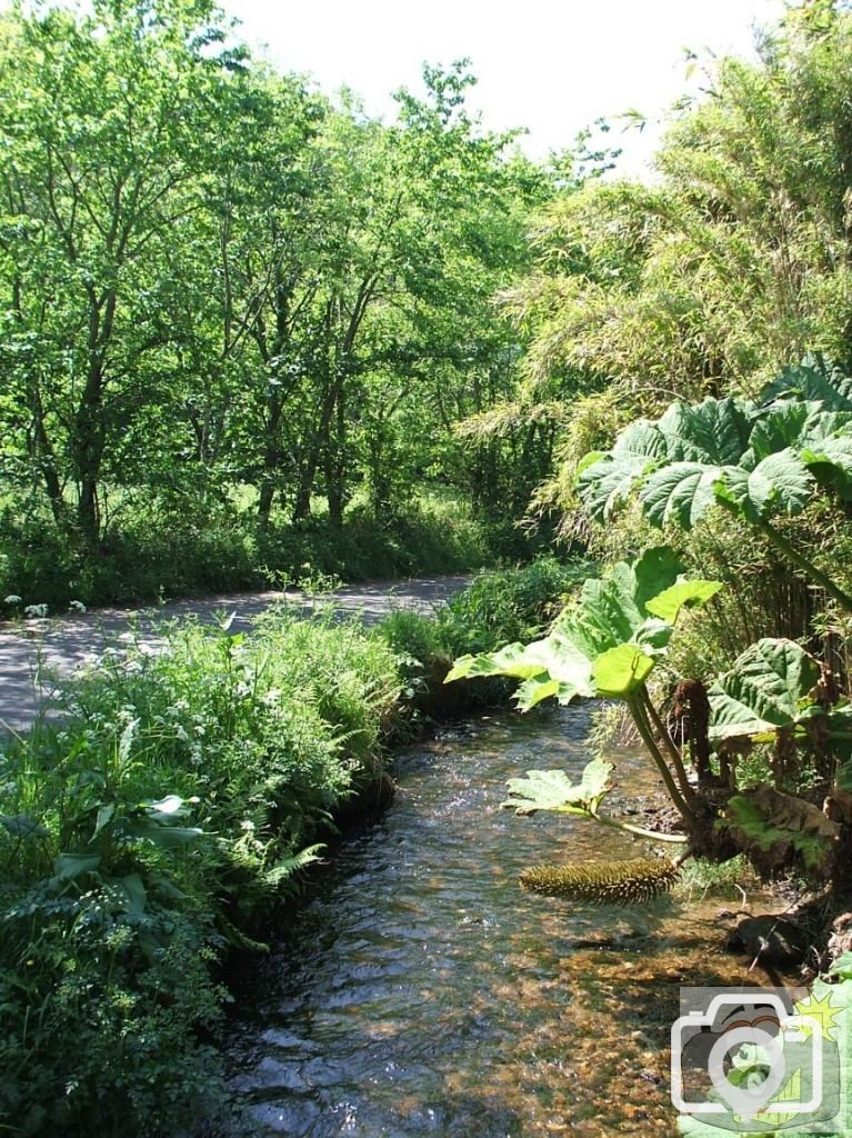 The river down to Penberth Cove