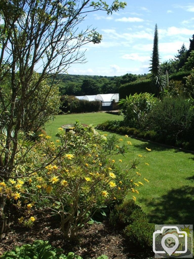 The Walled Garden - Trewidden Gardens - June '08