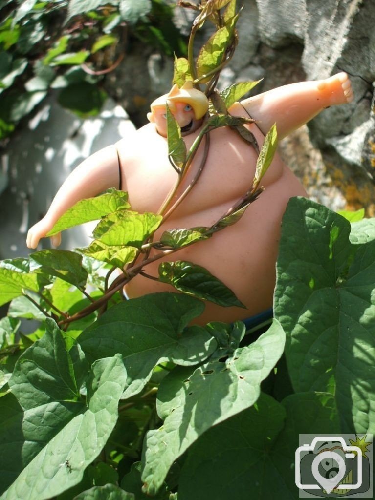 This Trencrom artist opportunely sets up a strange doll with bindweed and l