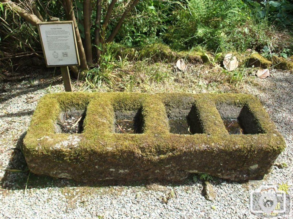 Tin Moulds - Trewidden Gardens - June '08