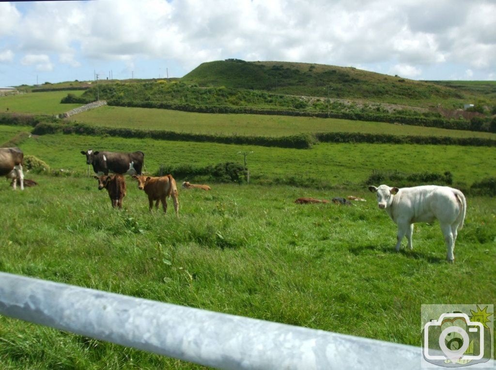 Tregeseal - 16th June, 2009