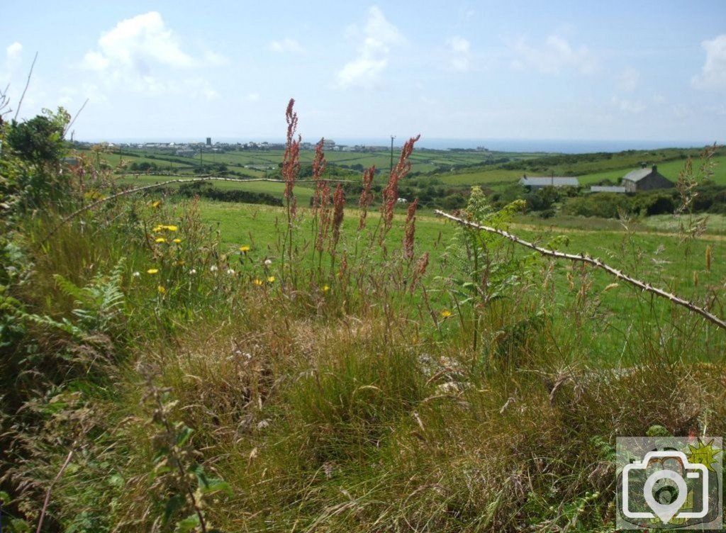 Tregeseal - 16th June, 2009