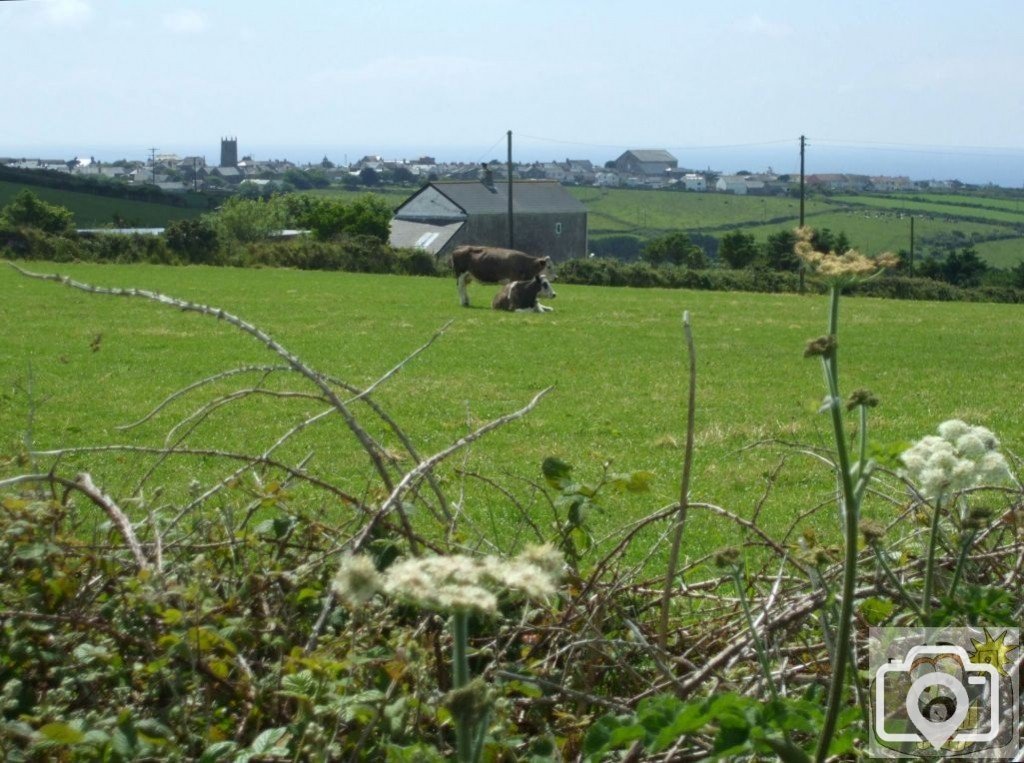 Tregeseal, 16th June, 2009