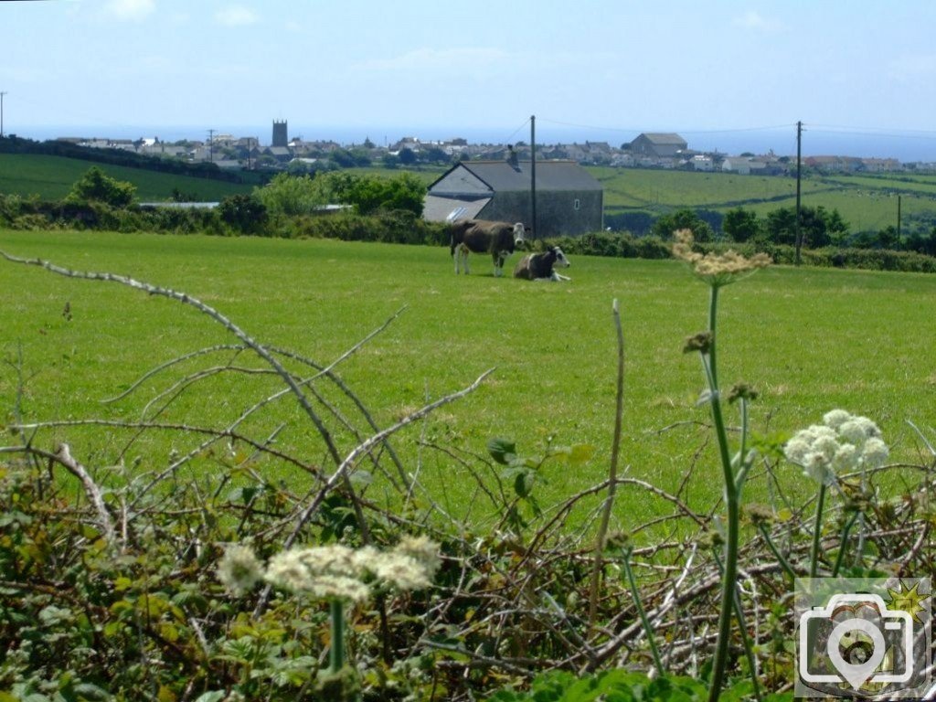 Tregeseal - 16th June, 2009