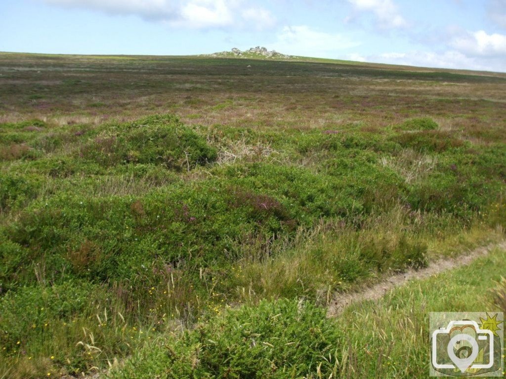 Tregeseal - 16th June, 2009