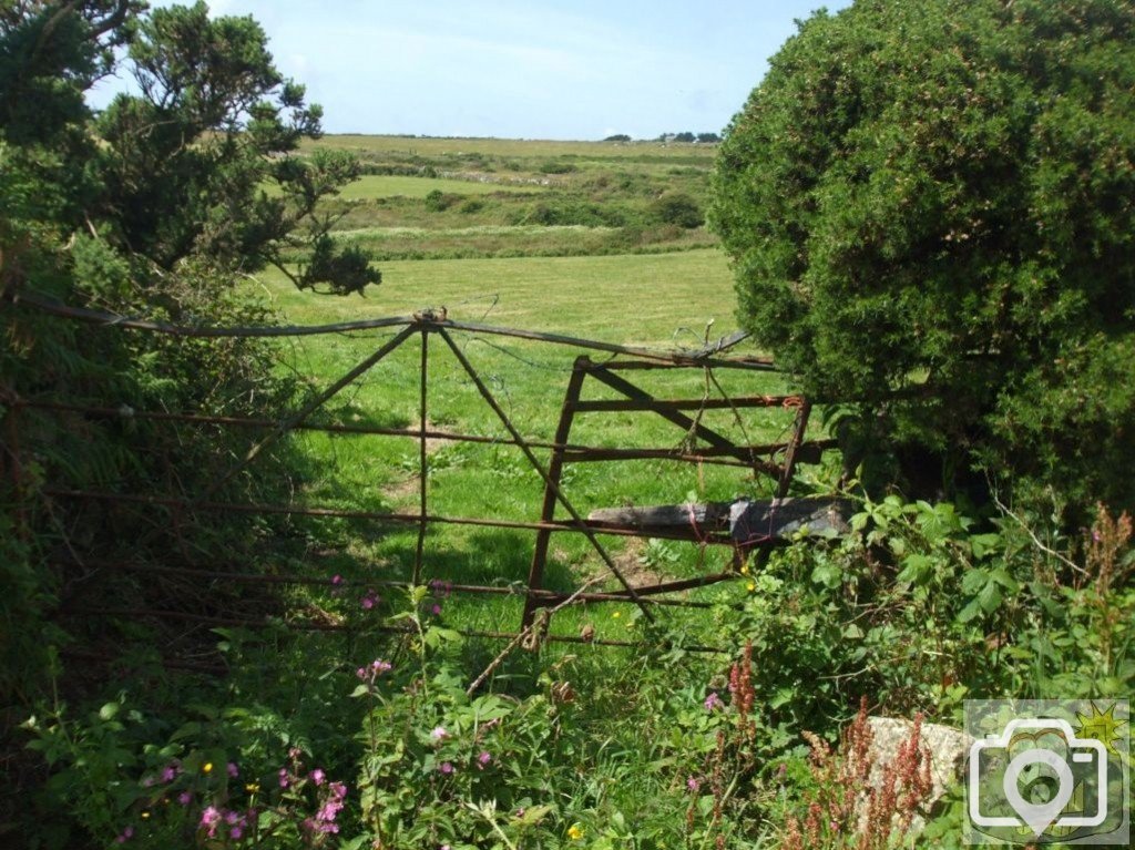 Tregeseal - 16th June, 2009