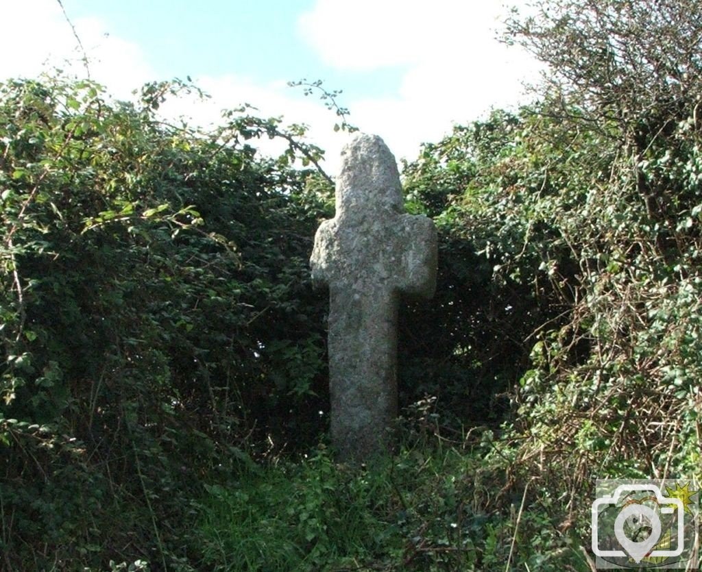 Tremethick Cross