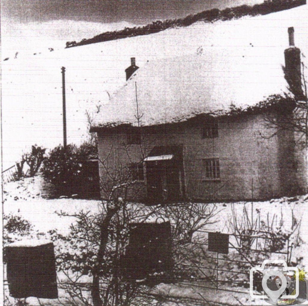 Treneere Coombe Cottage