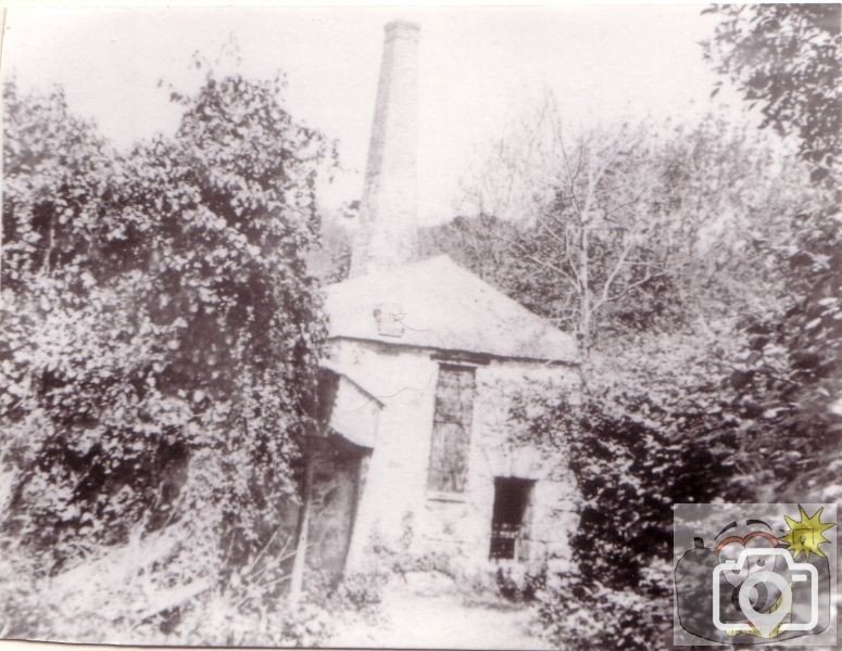 Treneere Mill