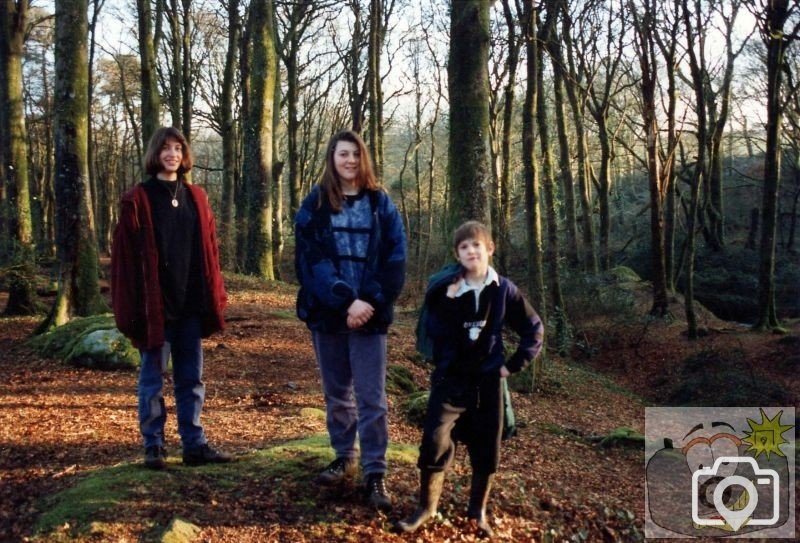 Trevaylor Woods 1994