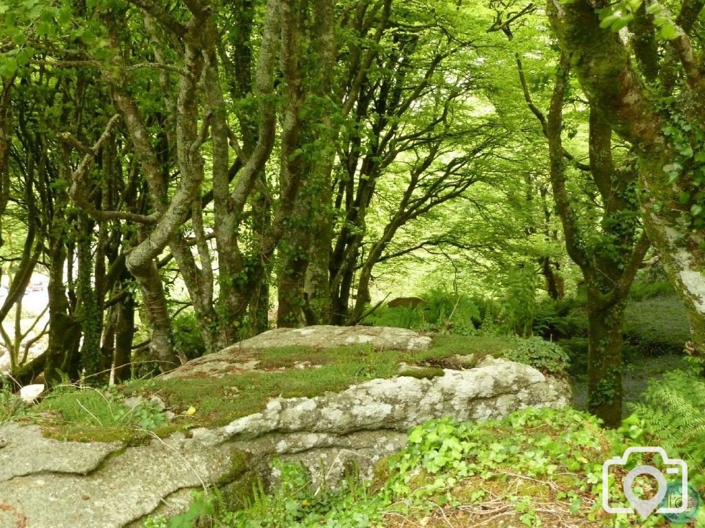 Trevelloe House and Carn - 2nd May, 2011