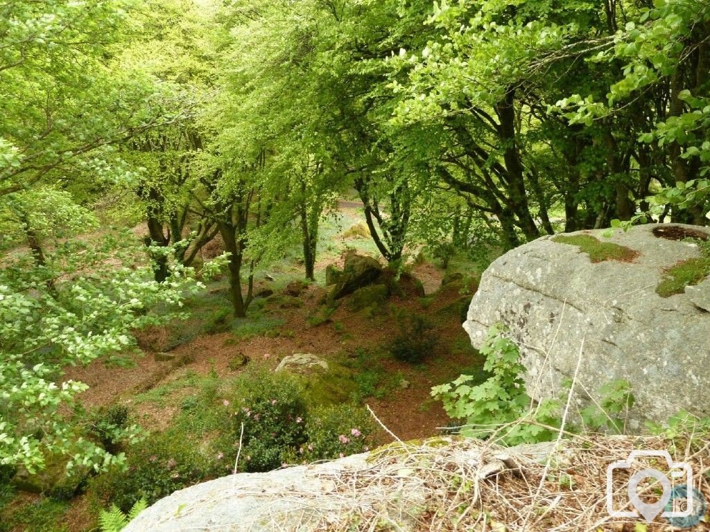 Trevelloe House and Carn - 2nd May, 2011