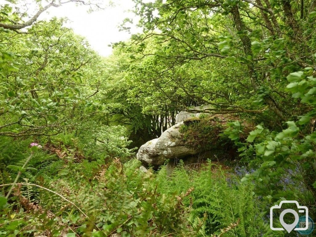 Trevelloe House and Carn - 2nd May, 2011