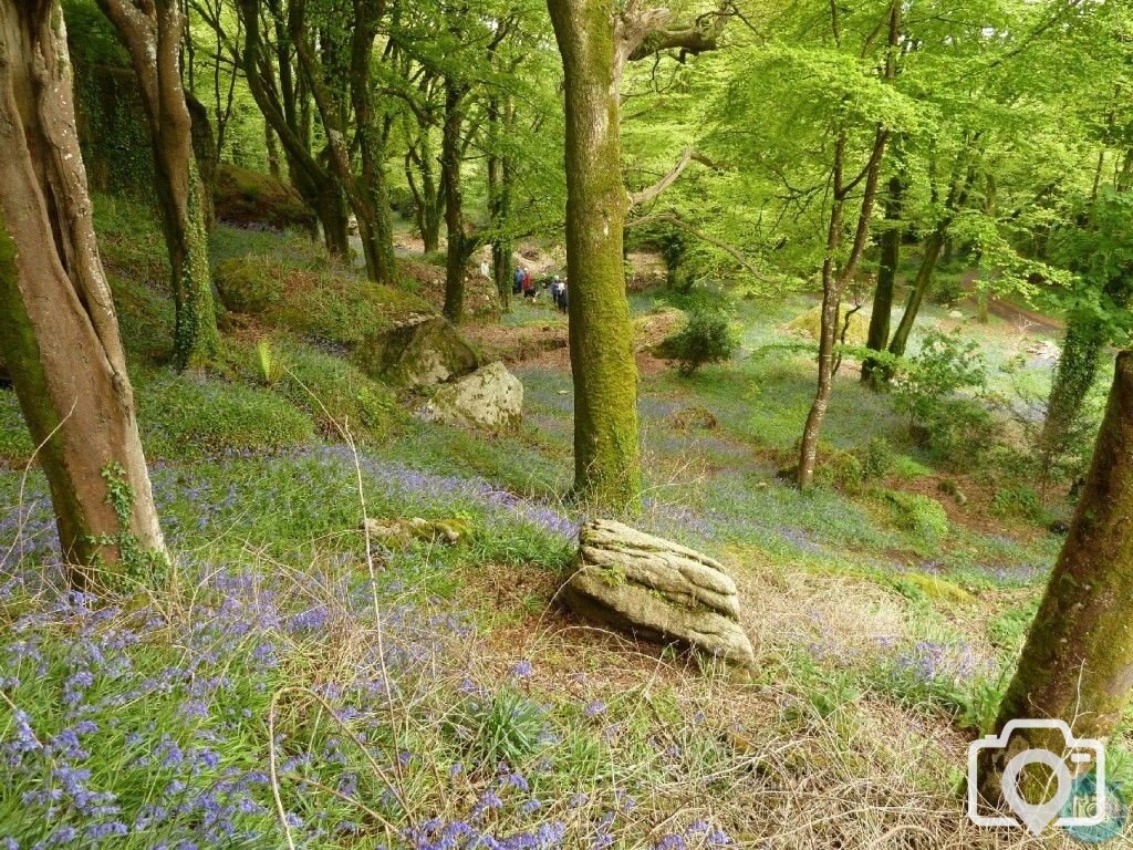 Trevelloe House and Carn - 2nd May, 2011