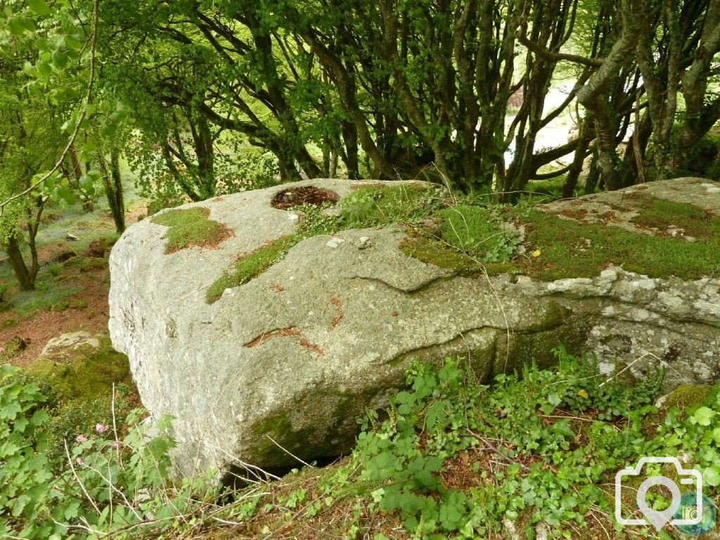 Trevelloe House and Carn - 2nd May, 2011