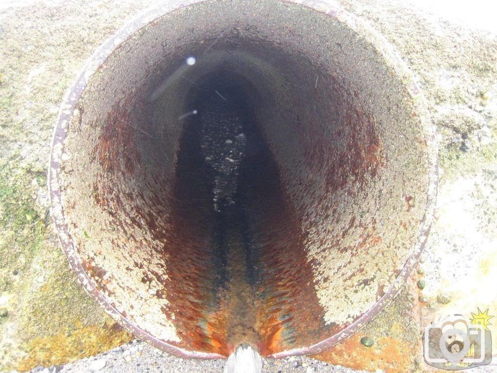 Tunnel mouth