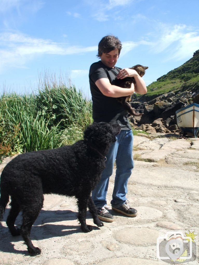 Very friendly animals at Penberth?