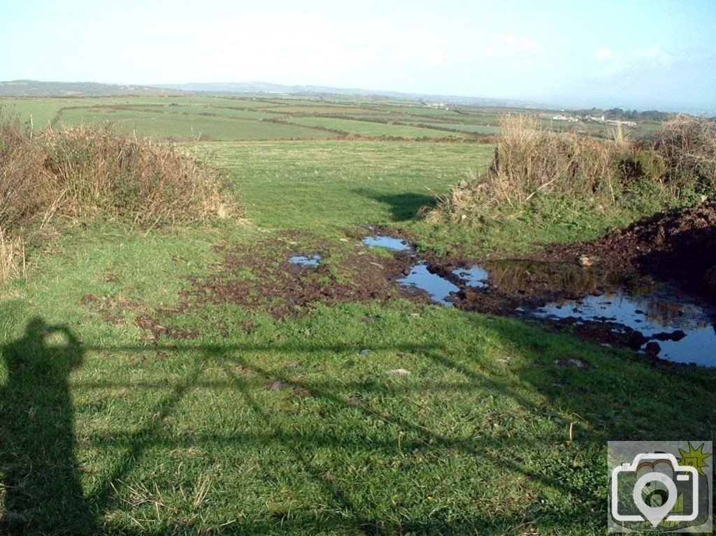 View across field from Sancreed's Beacon Estate