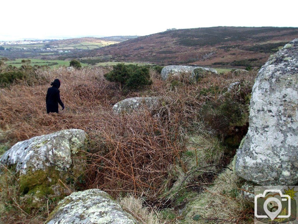 View eastwards on Little Trevalgan Hill - 10Feb10