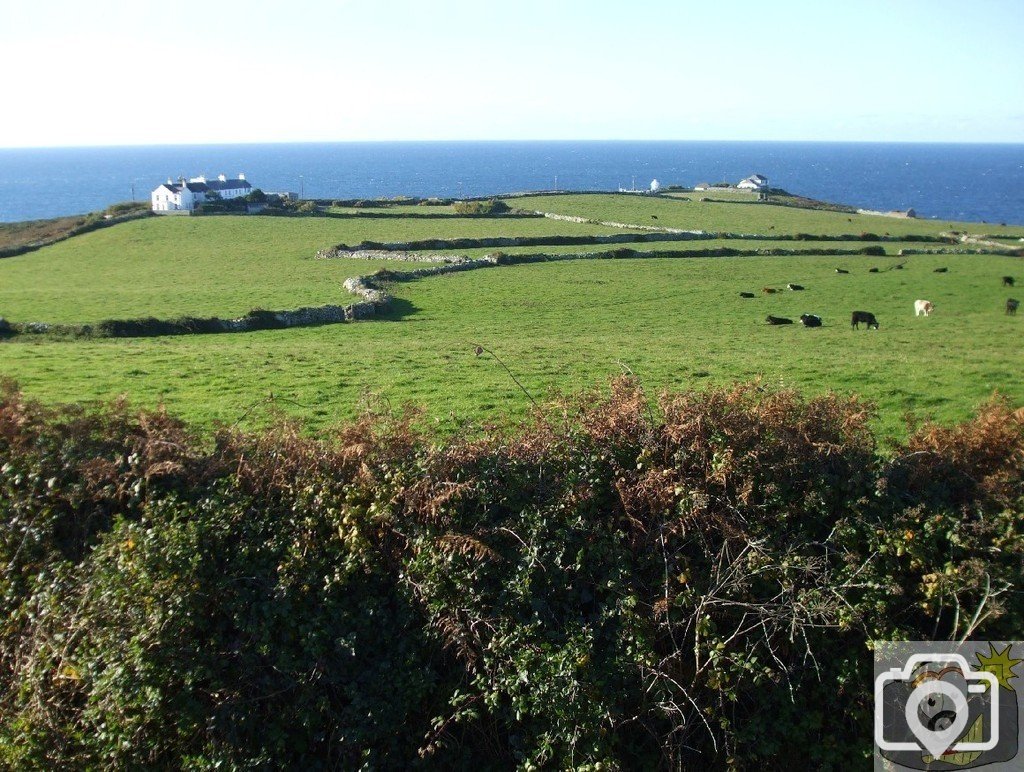 View from lane to Pendeen Manor Farm - 24Oct10